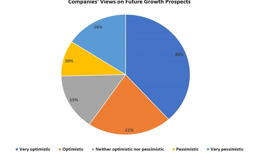 Business optimism declines marginally in May